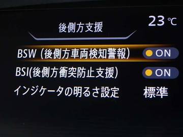複数画像30