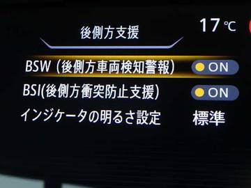 複数画像30