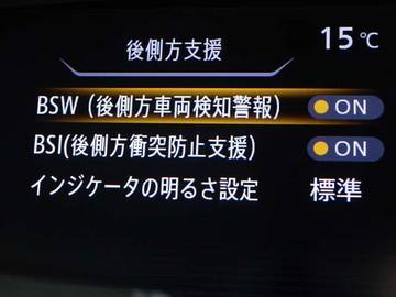 複数画像30