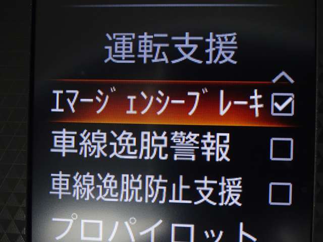 複数画像21