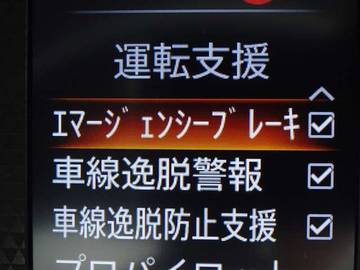 複数画像21