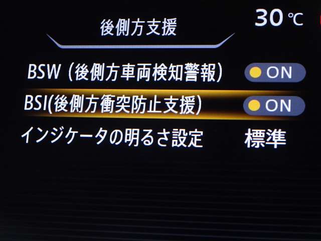 複数画像31