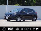 日産 リーフ X クルーズコントロール　被害軽減ブレーキ
