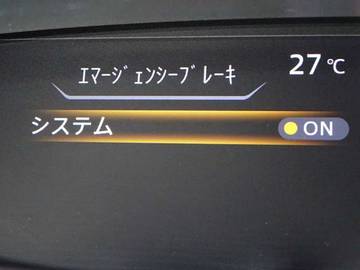 複数画像31