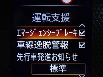 複数画像21