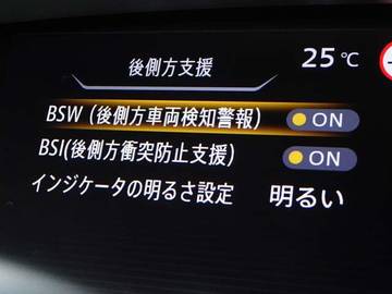 複数画像30
