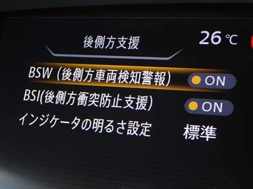 複数画像30