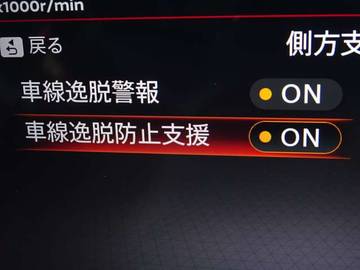 複数画像31