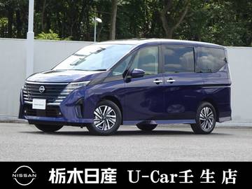 2.0 ハイウェイスターV メーカーSDナビ 全周囲カメラ 弊社社用車