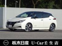 日産 リーフ X Vセレクション メーカーSDナビ 全周囲カメラ 被害軽減BK