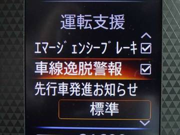 複数画像21