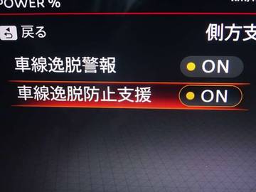 複数画像30