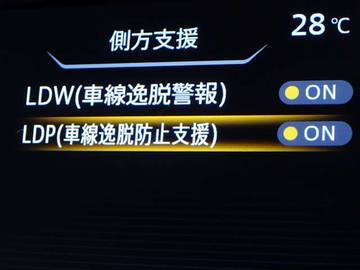 複数画像30