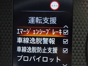 複数画像21