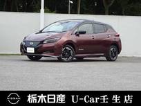 日産 リーフ e+ X メーカーSDナビ クルーズコントロール