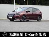 日産 リーフ e+ X メーカーSDナビ クルーズコントロール