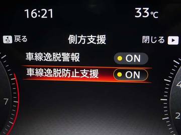 複数画像30
