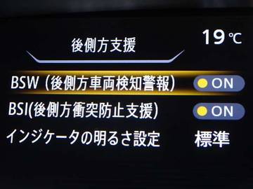 複数画像30
