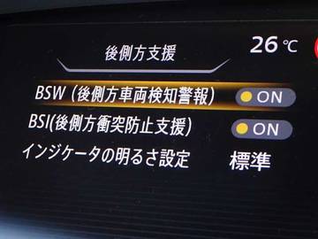 複数画像30