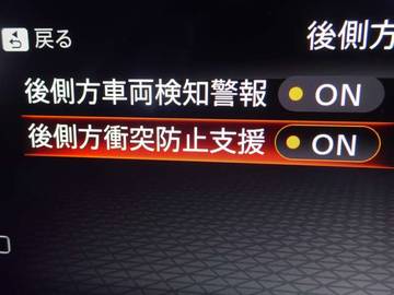 複数画像30