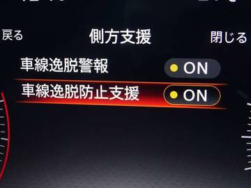 複数画像30