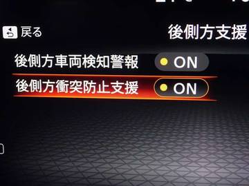 複数画像30