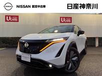 日産 アリア B6 12セグメント　アドバンスド　アンビエント