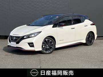 NISMO プロパイロット・寒冷地仕様