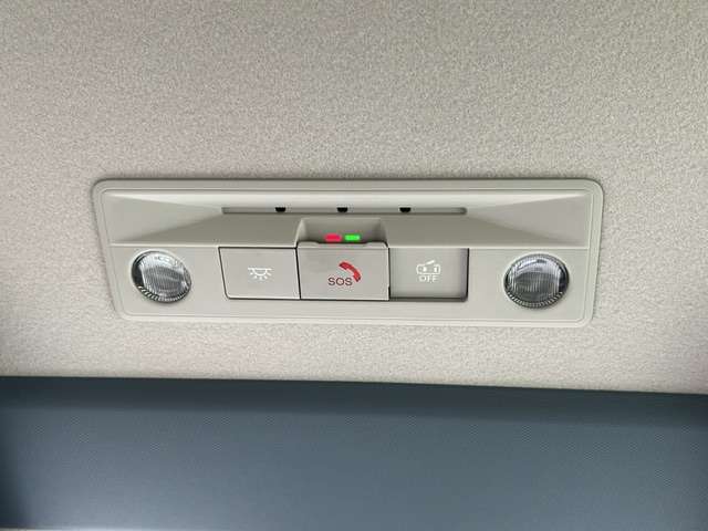 複数画像11