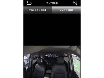 複数画像30