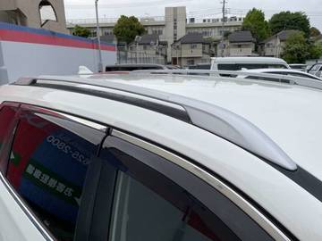 複数画像30
