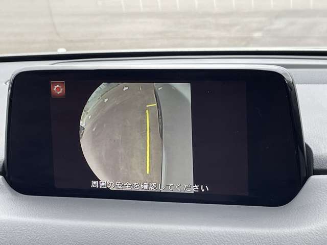 複数画像41