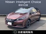 日産 リーフ e+ X ワンオーナー　メーカーナビ　インテリキー