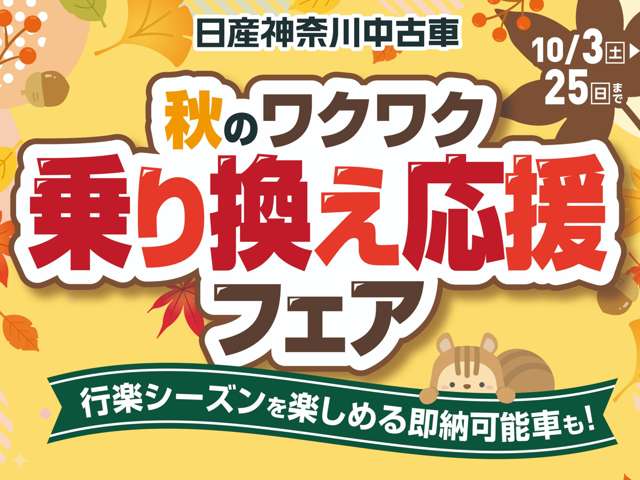 複数画像2