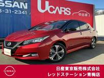 日産 リーフ G 40Kwh/12セグメント