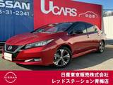 日産 リーフ G 40Kwh/12セグメント