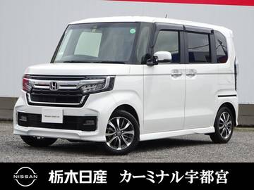 カスタム 660 L プロパイロット　メモリーナビ　ETC