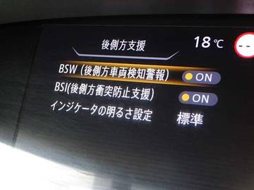 複数画像30