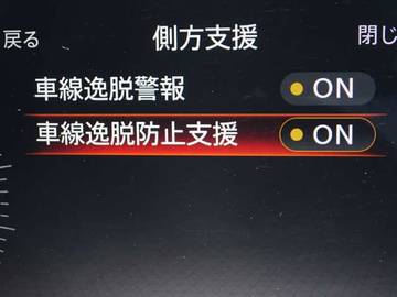 複数画像30