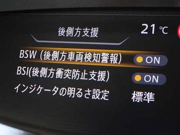 複数画像30