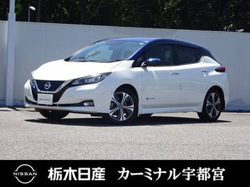 G メーカーSDナビ プロパイロット 被害軽減BK