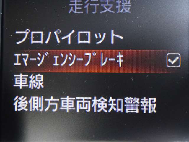 複数画像21