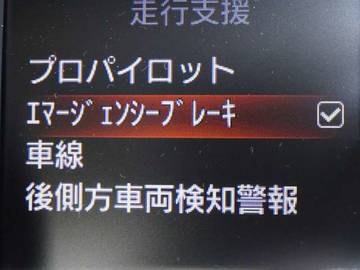 複数画像21