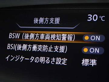 複数画像30