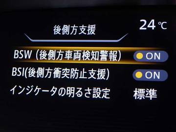 複数画像30