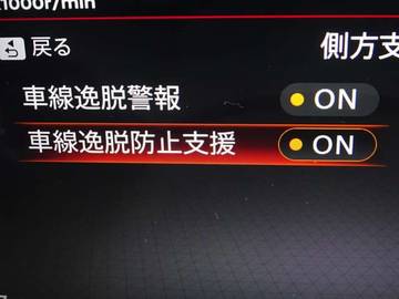 複数画像30