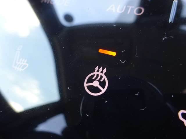 複数画像36
