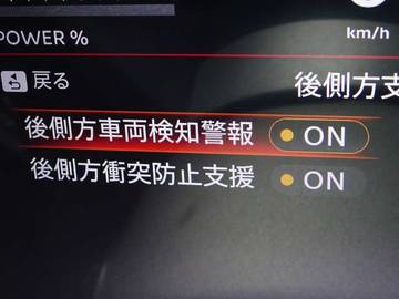 複数画像30