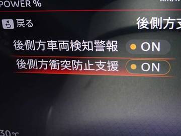 複数画像31