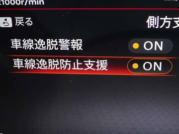 複数画像30